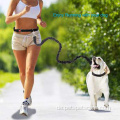 Hunde -Leine handfrei wandeln